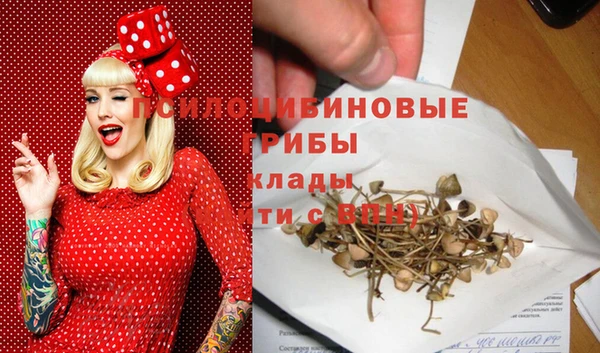 apvp Алексеевка