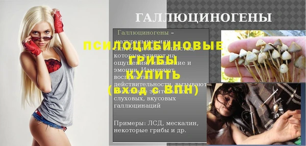 ПСИЛОЦИБИНОВЫЕ ГРИБЫ Абдулино
