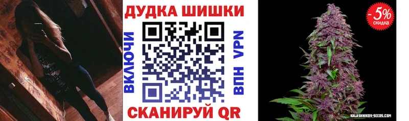 Бошки Шишки семена  omg ссылки  Людиново 